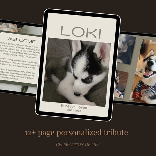 Personalized Pet Memorial Book - Custom Tribute Keepsake showcasing a 12+ page tribute for a beloved pet named Loki.
