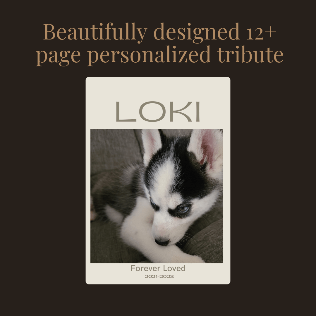 Personalized Pet Memorial Book - Custom Tribute Keepsake