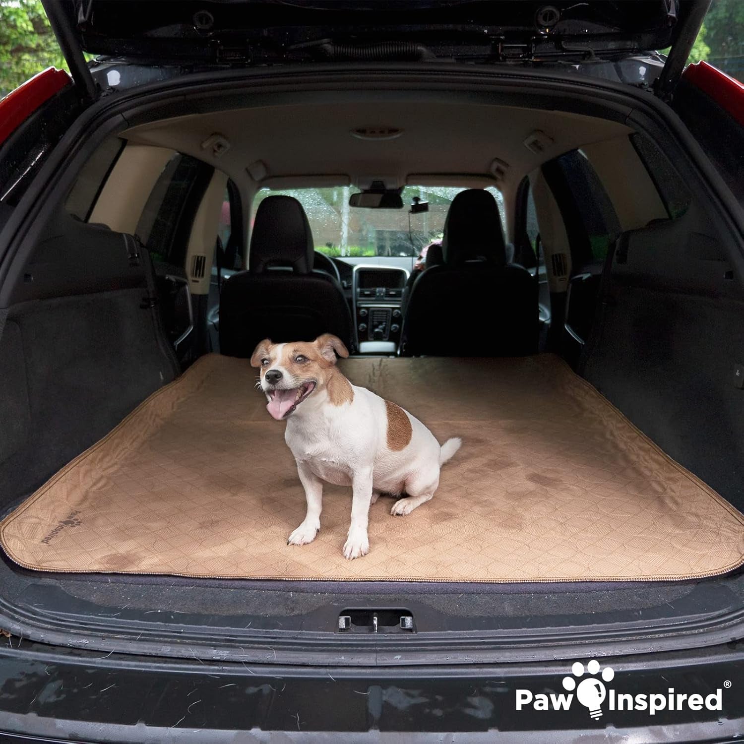 Washable Pee Pads for Dogs, Leakproof, Non-Slip Reusable Puppy Pads for Potty Training, Whelping, Waterproof Mat (48X60 Inch, Pack of 1)