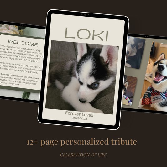 Personalized Pet Memorial Book - Custom Tribute Keepsake