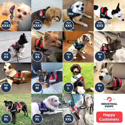 Emotional Support Vest Harness with Hook, Loop Straps and Handle, 2 Reflective Service Emotional Support Self-Adhesive Straps, ESA Matching Leash Set, Dog Accessories, XS, Bright Red