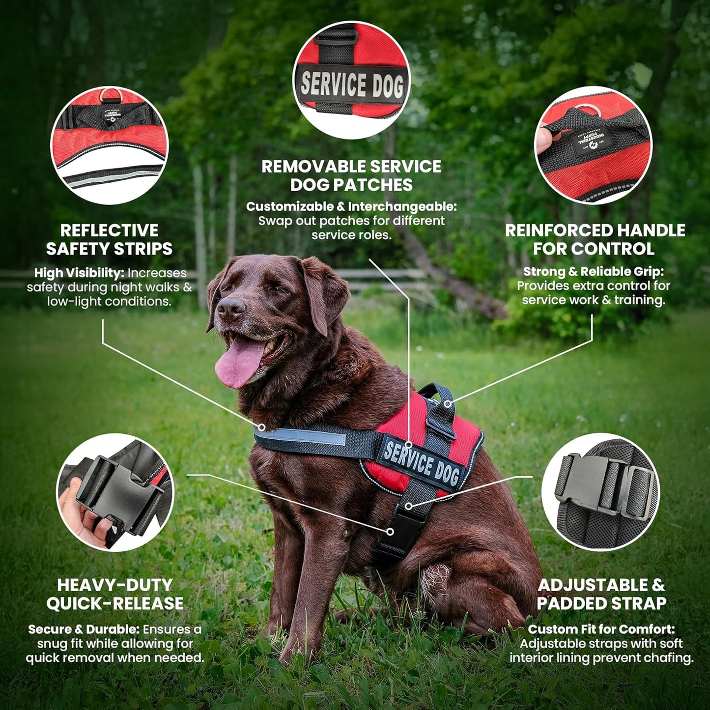 Emotional Support Vest Harness with Hook, Loop Straps and Handle, 2 Reflective Service Emotional Support Self-Adhesive Straps, ESA Matching Leash Set, Dog Accessories, XS, Bright Red