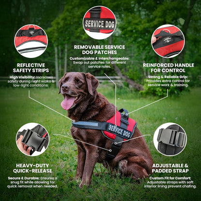 Emotional Support Vest Harness with Hook, Loop Straps and Handle, 2 Reflective Service Emotional Support Self-Adhesive Straps, ESA Matching Leash Set, Dog Accessories, XS, Bright Red