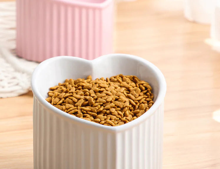 Slanted Ceramic Pet Bowl for Cats – Ergonomic, Whisker-Friendly Feeding Bowl