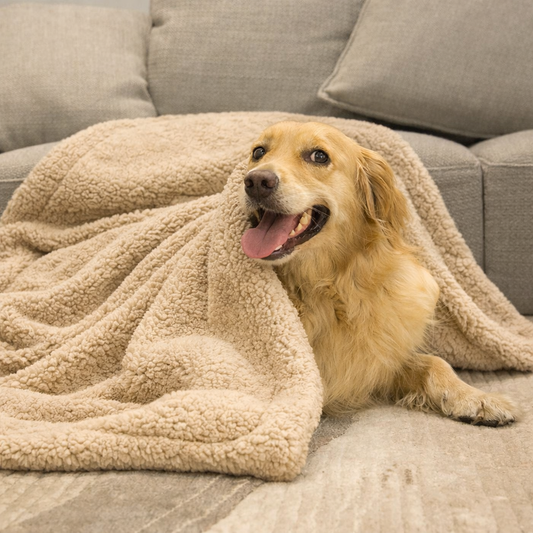 Plush Pet Blanket & Mat for Dogs and Cats