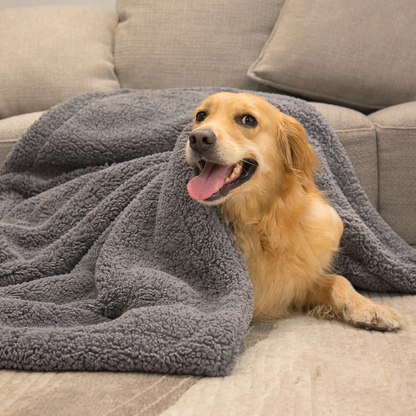 Plush Pet Blanket & Mat for Dogs and Cats
