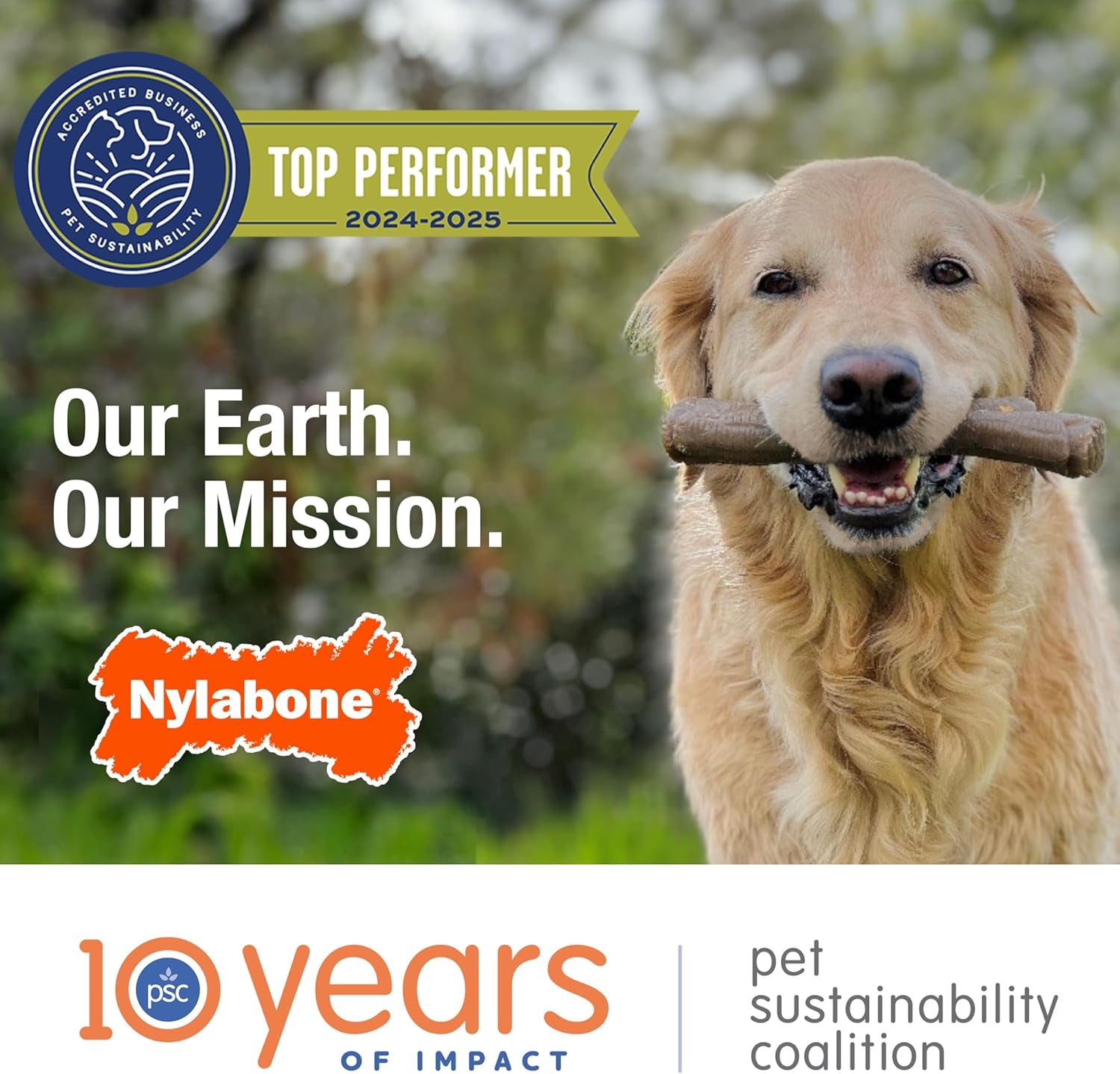 Double Action Bacon Flavor Bone Chew Toy for Aggressive Chewers, X-Large (50+ lbs)