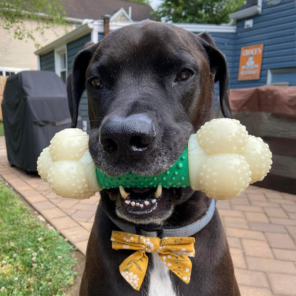 Double Action Bacon Flavor Bone Chew Toy for Aggressive Chewers, X-Large (50+ lbs)