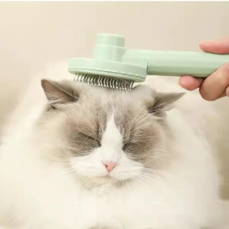 Modern Self-Cleaning Slicker Brush for Cats & Dogs